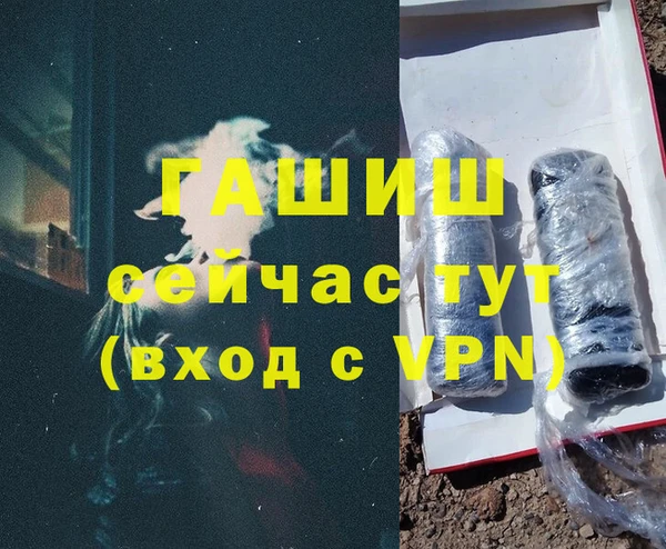 сатива Арсеньев