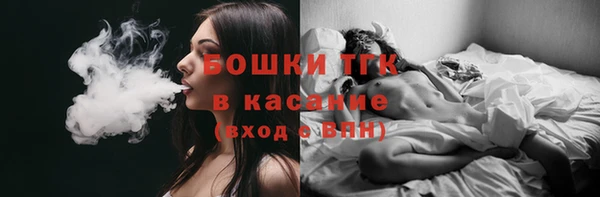 сатива Арсеньев