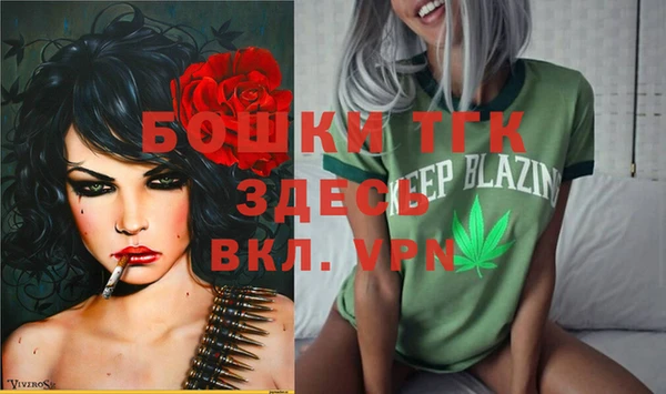 сатива Арсеньев